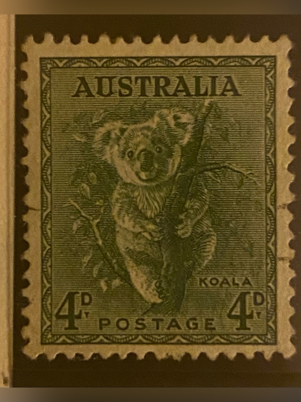 Vintage Australia Koala Postage Stamp - Olive Green
